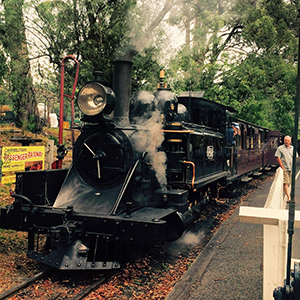 The Puffing Billy