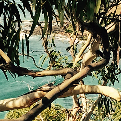 The Great Ocean Road