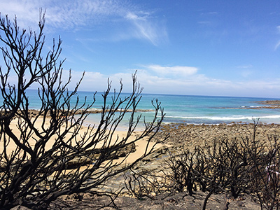The Australian Sky and Sea