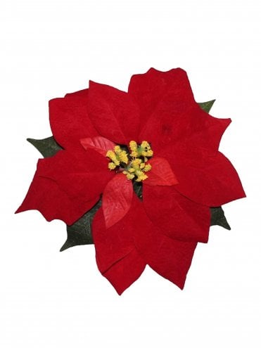 Red Huge Poinsettia Hair Flower