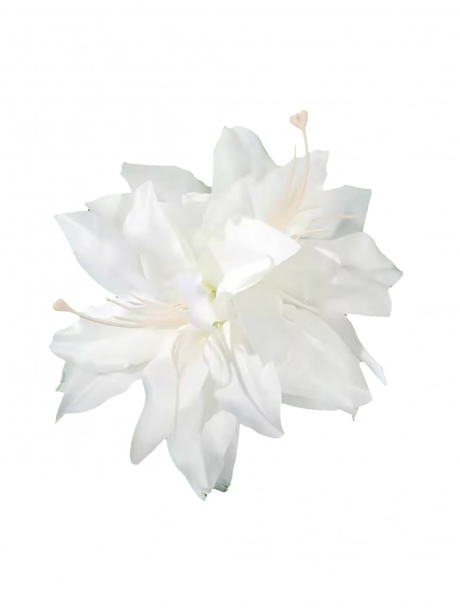 Vanilla Lilies Hair Clip